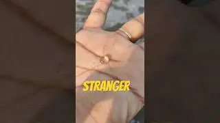 Stranger of Indian Ocean in Goa 