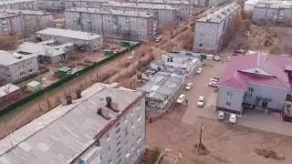 Птицы атакуют дрон