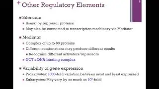 176-Transcription Regulation