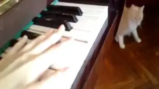 идеальный семпол