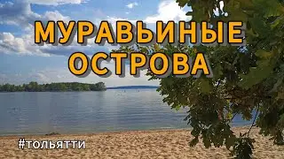 МУРАВЬИНЫЕ ОСТРОВА | Встреча на закате дня | Тольятти