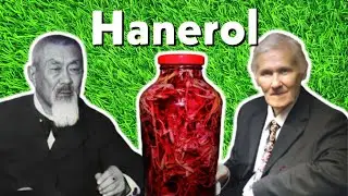 Иван-чай, 🌺 ХАНЕРОЛ: бальзам 🍾 Болотова  + соцветия кипрея узколистного против опухолей.