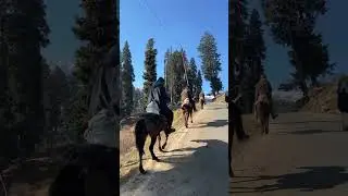 Firta Rahu Dar Badar ❤️❤️❤️