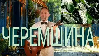 УКРАЇНСЬКА ПІСНЯ!   ЧЕРЕМШИНА  це наш ХІТ!
