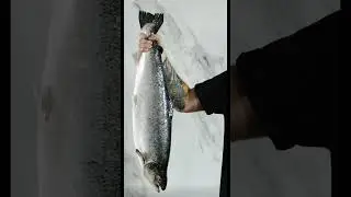 Caught a salmon