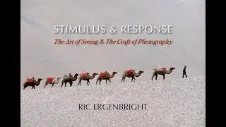 SIMULUS & RESPONSE: The Art of Seeing & The Craft of Photography