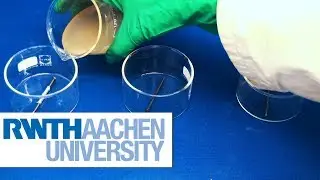 Corrosion Experiments in Gel