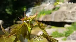 Рождение Церкви, детские христианские стихи и рассказы