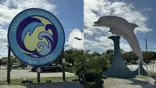 Dolphin Research Center