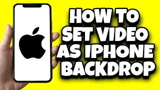 How To Set Video As Wallpaper On Your iPhone (Step By Step)