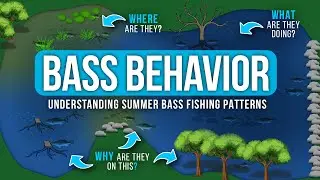 Bass Behavior BREAKDOWN – Vegetation, Wood & Rocks Explained (Summer Bass Fishing)