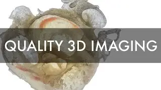 Dr. Bramlet - Quality 3D Imaging