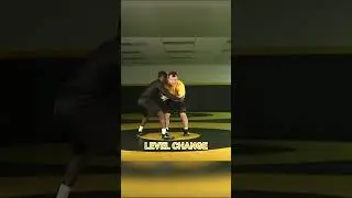 2 on 1💥Far Side Duck💥 