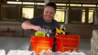 Hurricane Ian Recovery: 