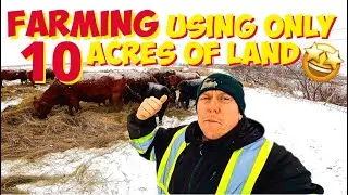 Starting a Farm Using only 10 ACRES of Land 🤠🐮