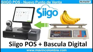 Siigo POS con Bascula Digital para 30 kg (Sistema Ideal para Fruver, Salsamentarias, Dulcerias, etc)
