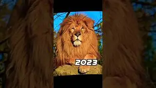 2023 lion 🦁 vs 5000 bce lion 💥 #viral #shorts