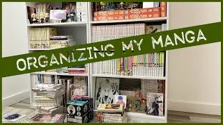 Manga Organization | Shelf Display Projects | Enamel Pins & Prints | Collection Overview