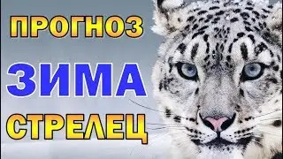 Таро прогноз (гороскоп) на ЗИМУ - СТРЕЛЕЦ