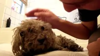 Fiona's amazing story   please share on Facebook & Twitter  Thanks!720p H 264 AAC