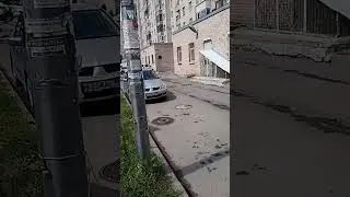 Типичный Петербург