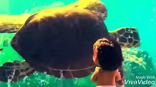 Moana tribute