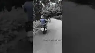 cow vs man - Short Random Video
