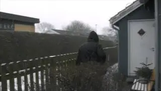 Hævnen