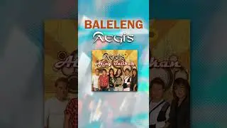 BALELENG Aegis 