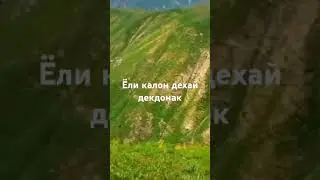 10 июля 2024 г.