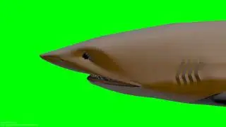 🔥Frish Green Screen Effect Editing Video🔥