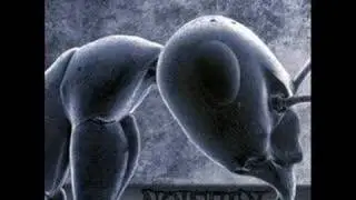 Noisuf-X - Hit Me Hard