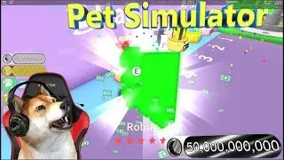 Roblox Pet SImulator!