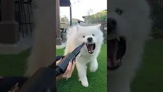 Fighting the air snake in slow motion