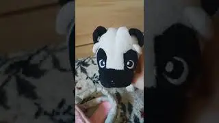 чи чи лав 1