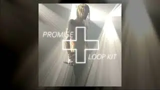 FREE 2hollis Loop Kit - Promise (2hollis, The Hellp, Bladee, Ken Carson, Hyperpop Loop Kit 2024)