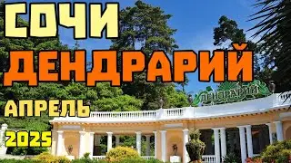 Сочи. Красоты Дендрария. Гуляем в апреле. Начало сезона. 14 апреля 2025 г.