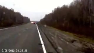 МЕДВЕДЬ МАШИНА сбил зверя