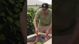 МАЙСКИЕ ПРАЗДНИКИ 