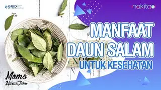 5 Manfaat Daun Salam untuk Kesehatan