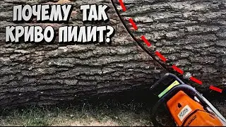 CHAINSAW CUTTING CROOKED? Repair of the saw bar and chain of a chainsaw