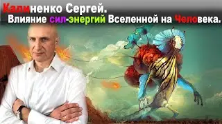 Влияние сил-энергий Вселенной на Человека. Калиненко Сергей.