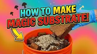 How to Make Coco Coir Substrate for Growing Mushrooms