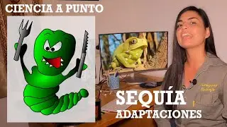 Ciencia A Punto: Adaptaciones a la Sequía