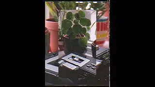 Kristoffer Eikrem ft. Kjetil Jerve - Jirachi 🌿 [lofi hip hop / jazz hop]