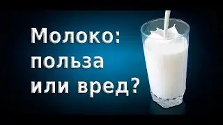 Молоко полезно или вредно? Что говорят научные исследования