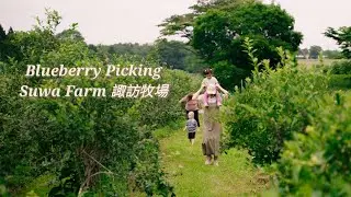 Blueberry Picking near Misawa | Suwa Farm 諏訪牧場 | Shot on Sony FX3 | Vlog #38