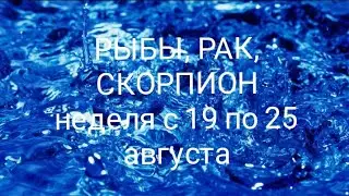 СТИХИЯ ВОДЫ (Рыбы, Рак, Скорпион) на неделю с 19 по 25 августа 2024 года