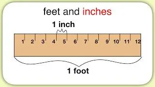 Measurement (Feet and Inches)