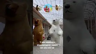 Yangi ayiqlar 2024 мишка медведь принимаем закази 932324949